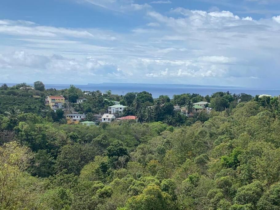 Les Villas Du Bambou - Villa Bambou Jusqu'A 6 Pers Le Gosier  Eksteriør bilde